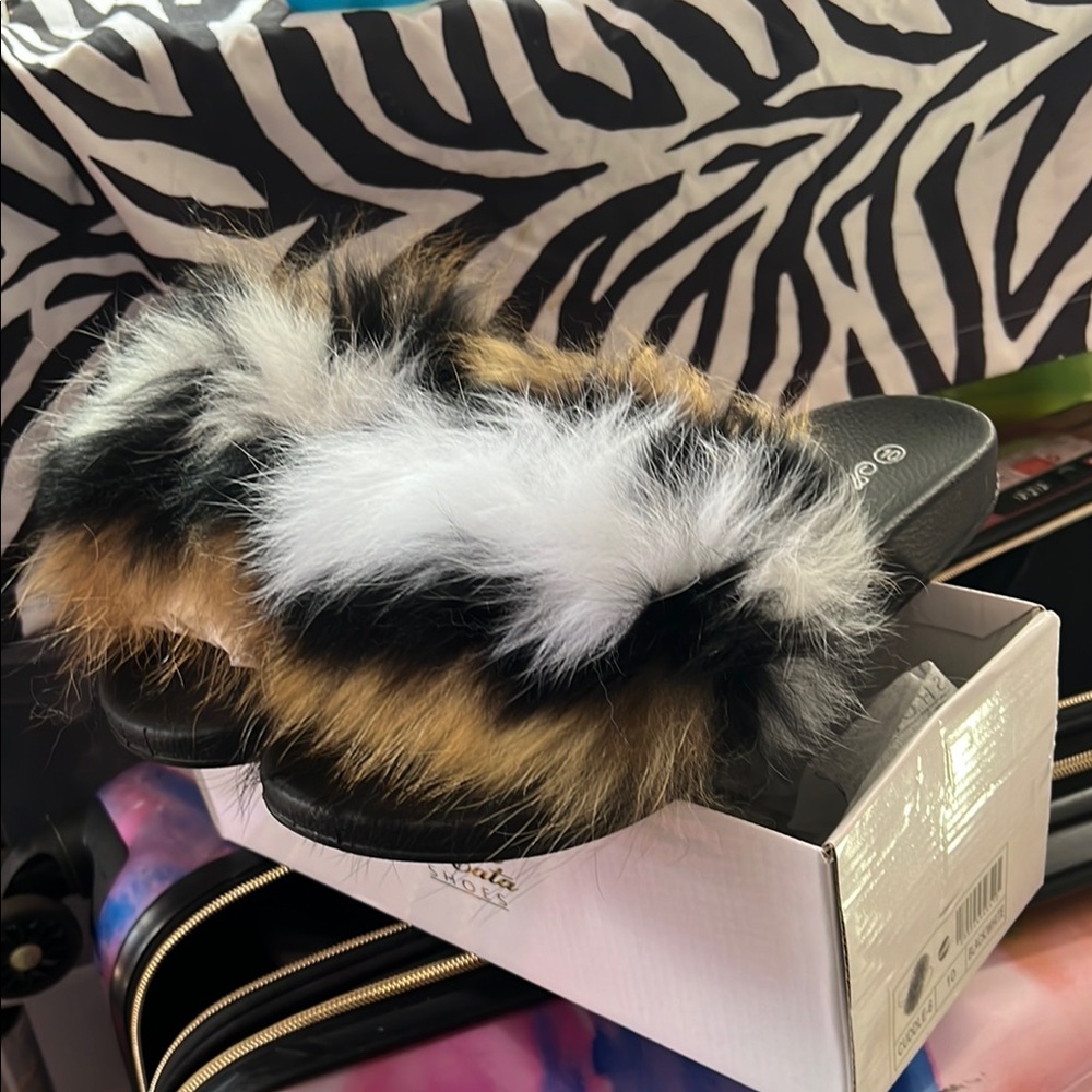 Furry Black and White Slides